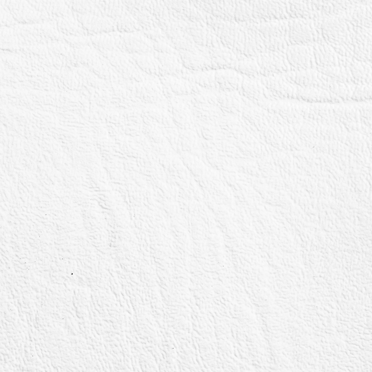 White Vinyl 白色 Vinyl